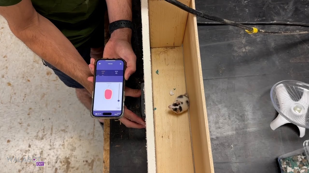 Устройство для обнаружения животных и стержней 🐁 #Walabot #diy #studfinder #pestcontrol