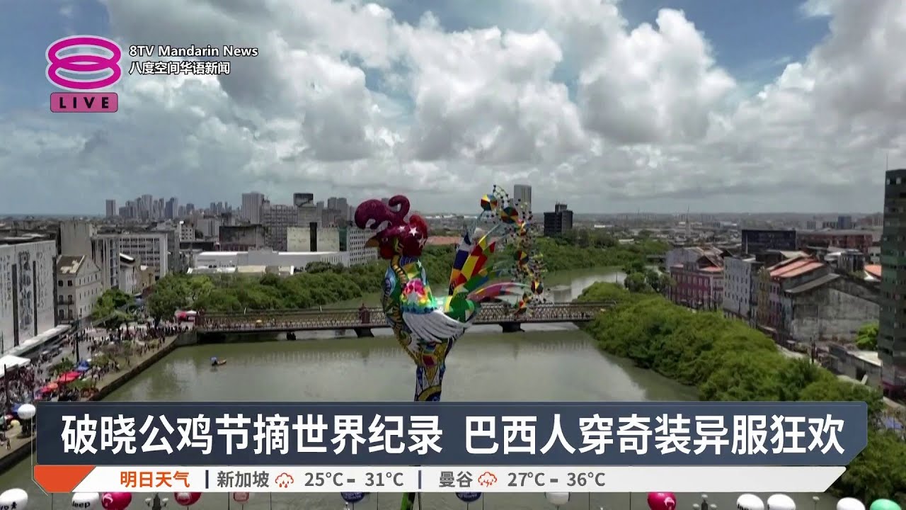 破晓公鸡节摘世界纪录 巴西人穿奇装异服狂欢【2026.02.15 八度空间华语新闻】