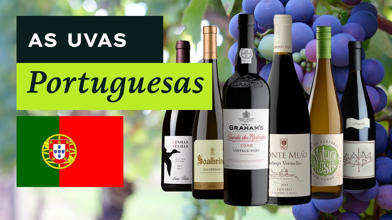 Uvas Portuguesas - Aprendendo com a Mistral EP1