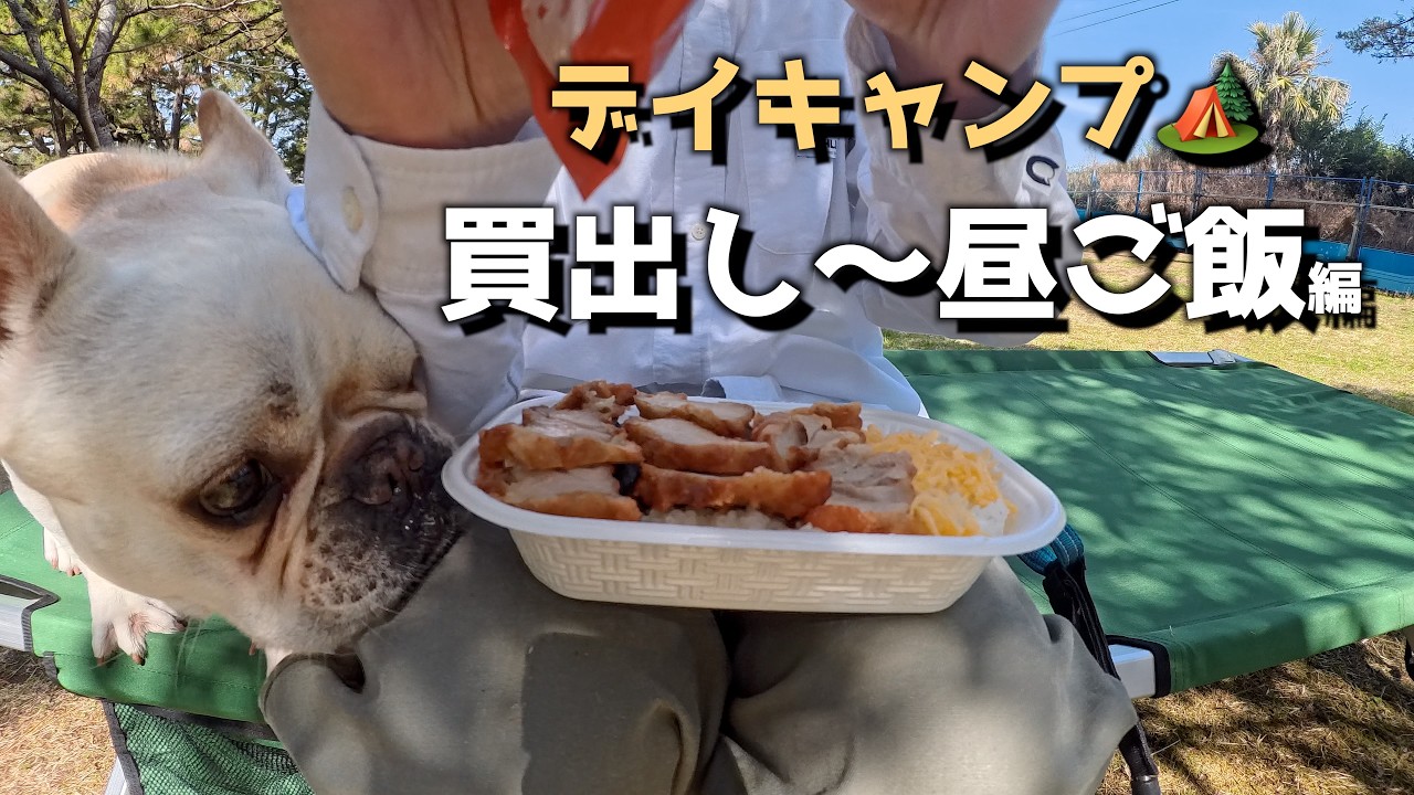 最高のデイキャンプ日和。きなこと初キャンプ🐶