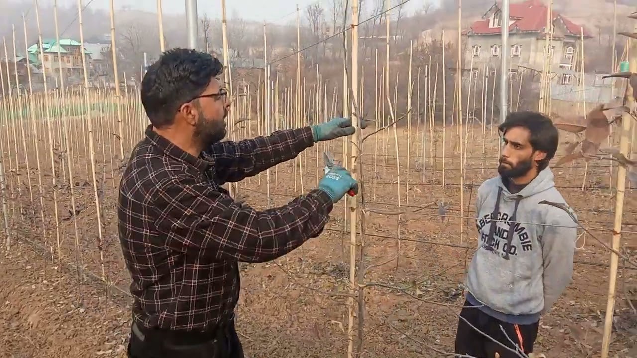 At Lolipura beerwah Budgam call 9797257500