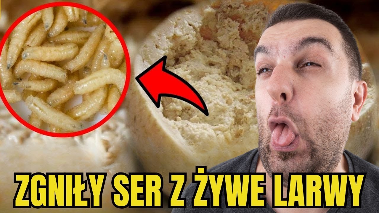 ZOBACZ TO! Casu Marzu: Włoski SER z żywymi larwami 🧀🐛 - Dziwne dania z r&oacute;żnych kultur