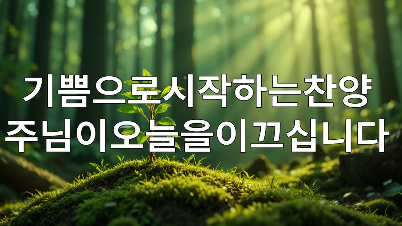 🙌🏻🔥[CCM 모음집 2026] 당신의 마음에 힘을 주는 찬양 - 아침을 시작하기에 가장 좋은 복음성가 모음 - 슬픔이 사라지고 위로가 찾아오는 찬양을 들어보세요