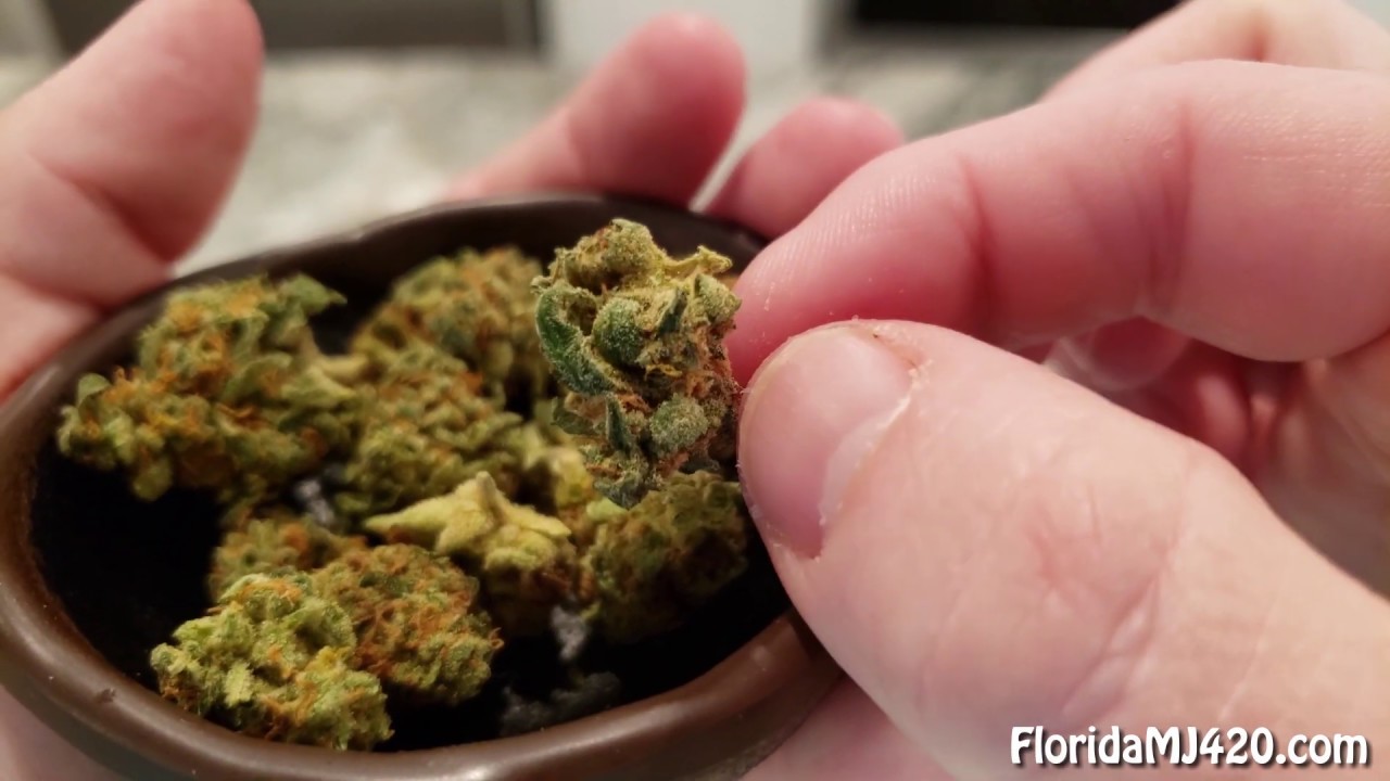 3 Month Old Citrus Farmer 21% THC Flower from Curaleaf - Florida Medical Marijuana Reviews