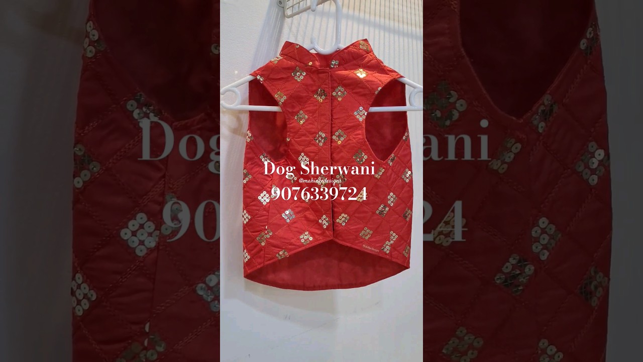 Dog Sherwani Handmade by #MahiNeeDesigns#dogfashion #sherwani#diwalioutfit #Festivecollectionfordogs