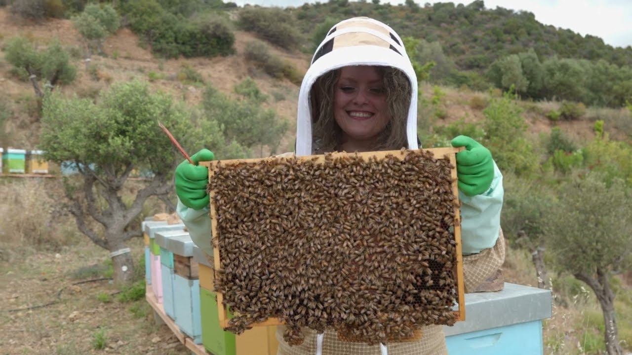 I segreti dell'apicoltura in Sardegna e nel Parco di Gutturu Mannu, con Massimo Licini
