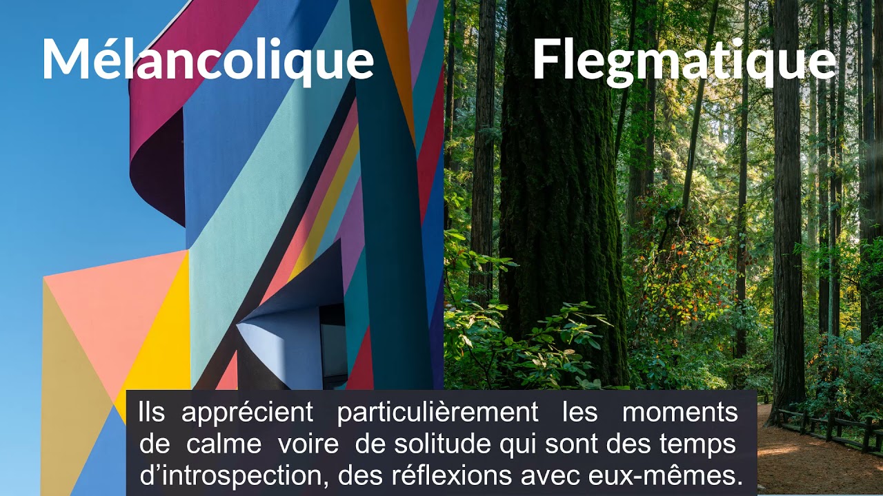 Tempéraments n°2/6 : Les mélancoliques et les flegmatiques (SME Français)