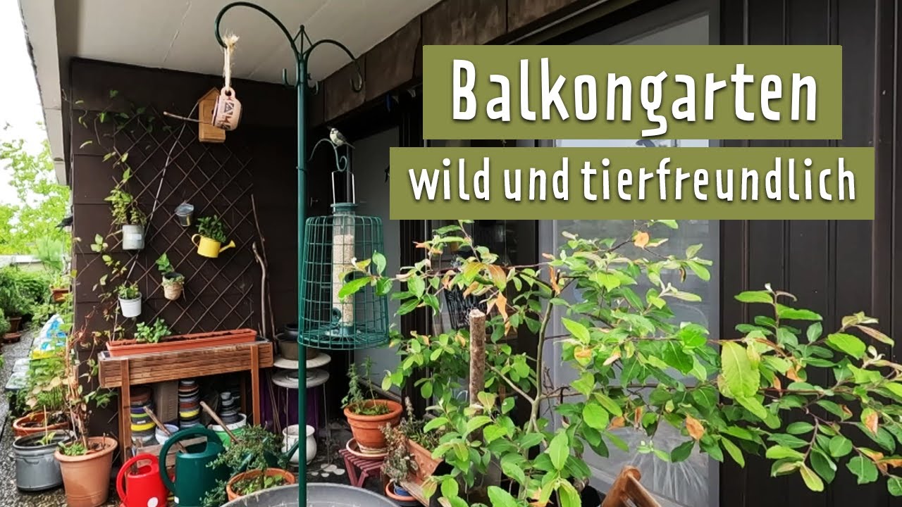 Wilder Balkon f&uuml;r Insekten | MDR Garten