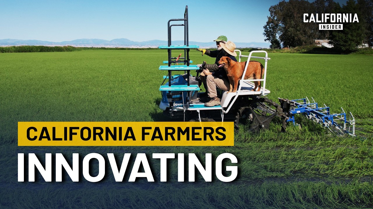 California Farmers Are Revolutionizing Rice Farming With LESS WATER