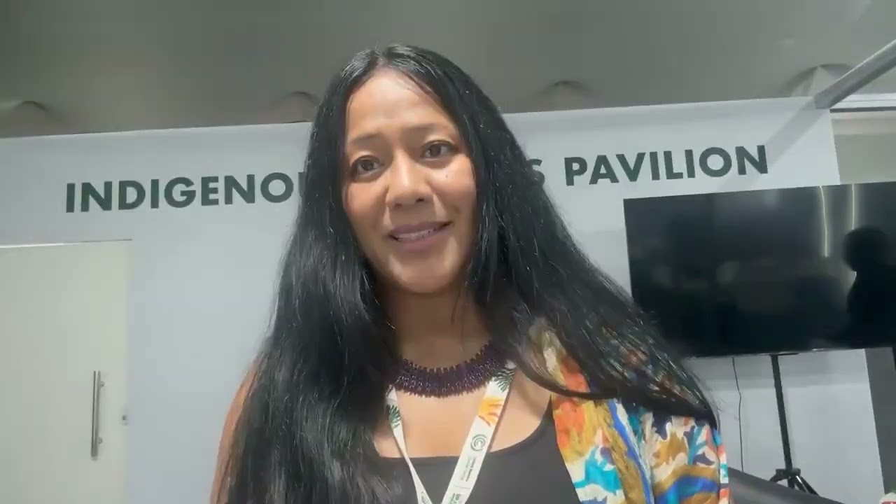 Short speech of Binalakshmi Nepram at COP30 &ndash; Rights of Indigenous People