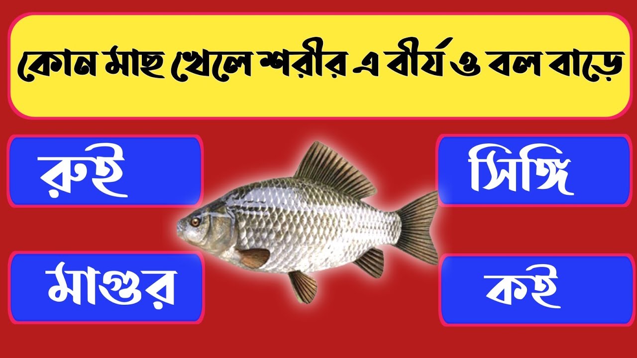 Bangla Gk Question And Answer/Bangla gk/Bangla quiz/General knowledge/Gk/quiz
