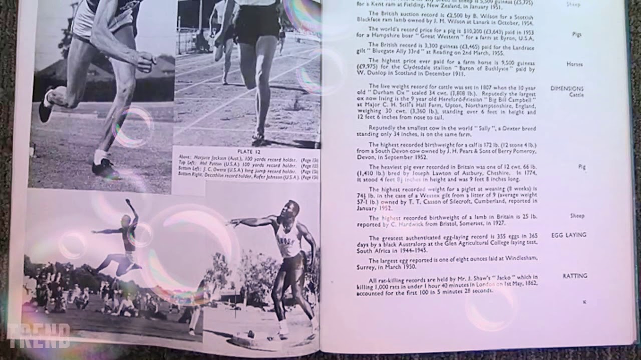 Guinness world recorded which is attracted us muchly