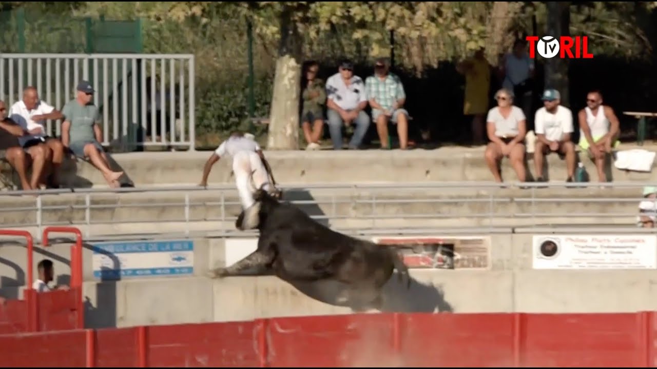 Vannier (Manade Cavallini) sur Ziko Katif dans les Ar&egrave;nes de Villeneuve les Maguelone (28/08/2022)