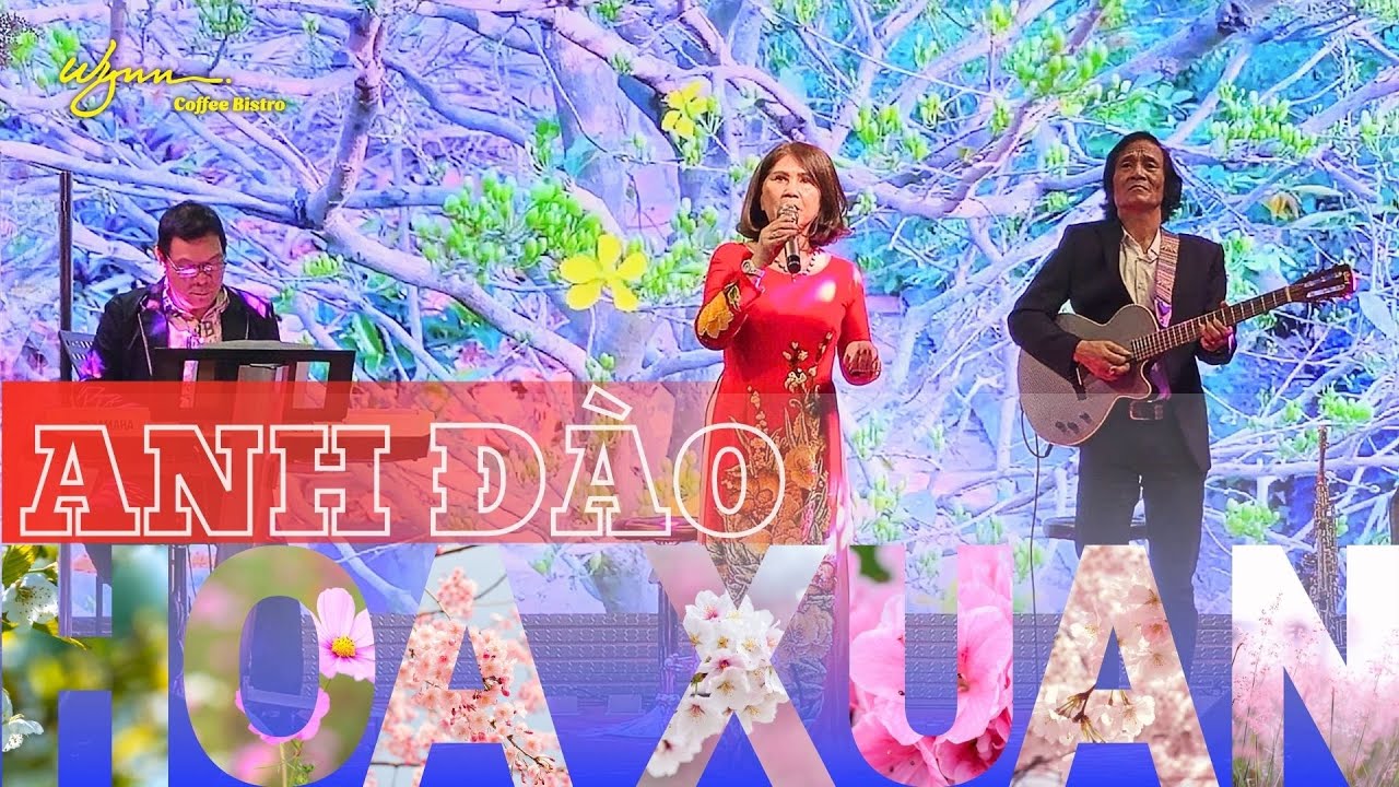 HOA XUÂN (Phạm Duy) | Thể hiện : ANH ĐÀO. #AnhDao #PhongtraWYNN