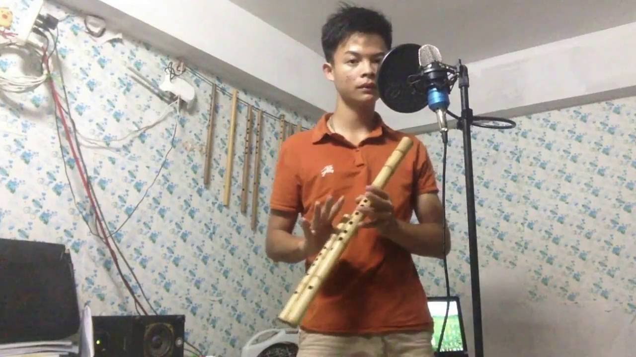 Gặp Nhau Giữa Rừng Mơ - Sáo Mèo Vũ Trụ