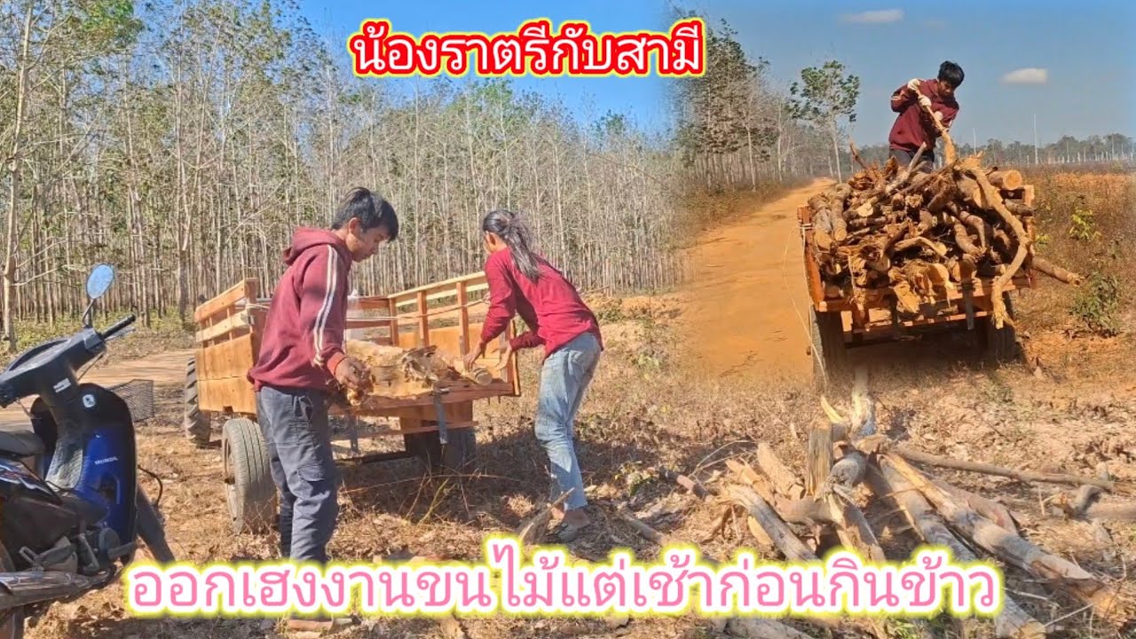 ยังไม่ได้กินข้าวเช้า มาออกเฮงานก่อนเลยขนไม้ 2 กุมภาพันธ์ ค.ศ. 2026