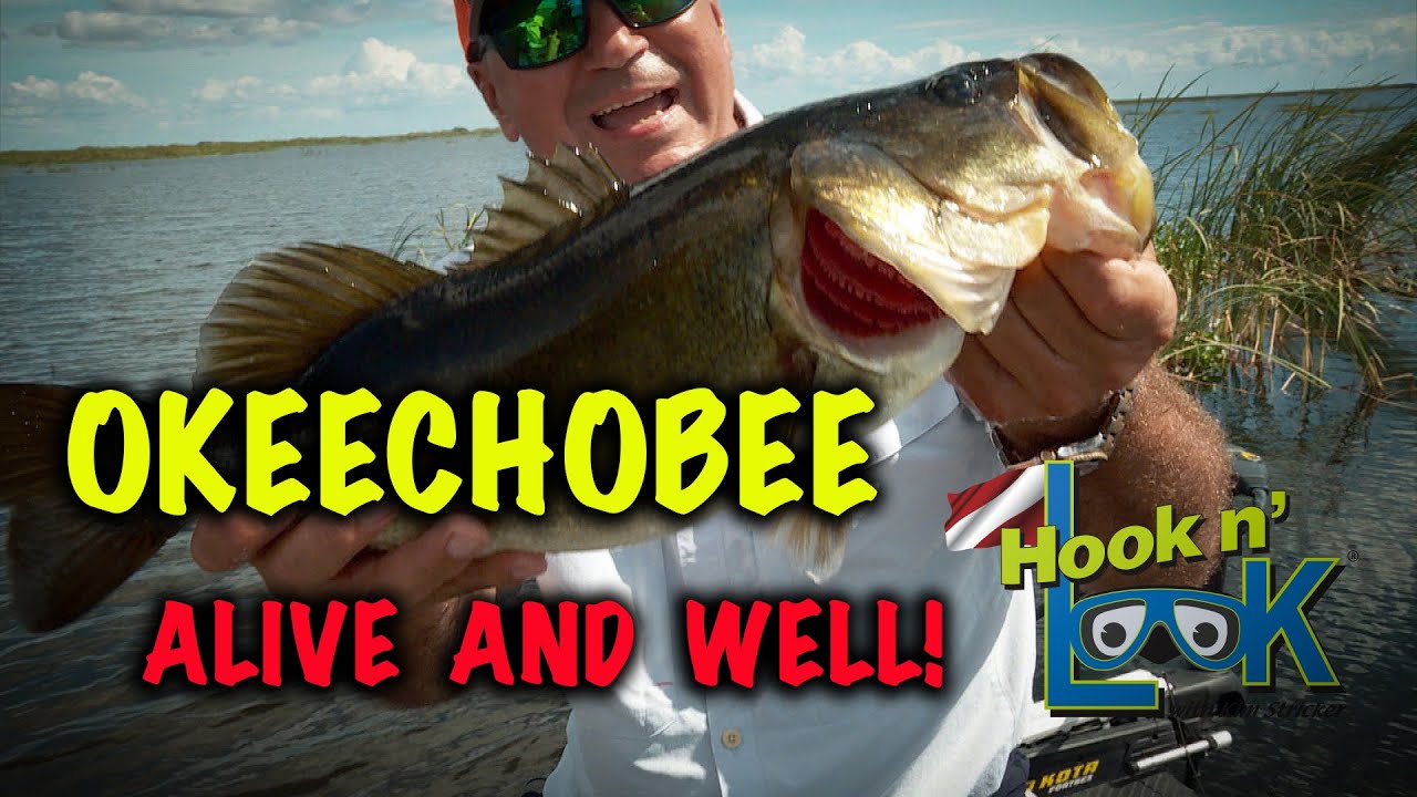 Okeechobee, Alive and Well - FULL EPISODE