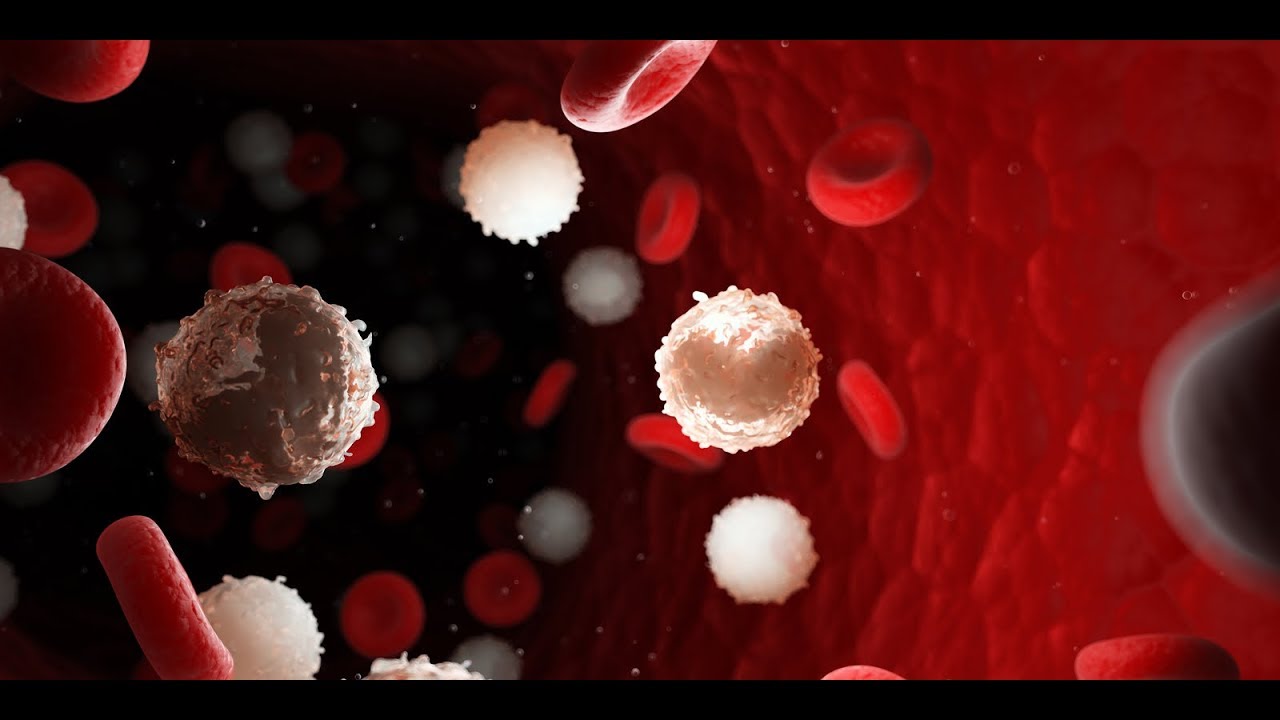 【健康1+1直播間】對抗「慢性淋巴細胞白血病——CLL」