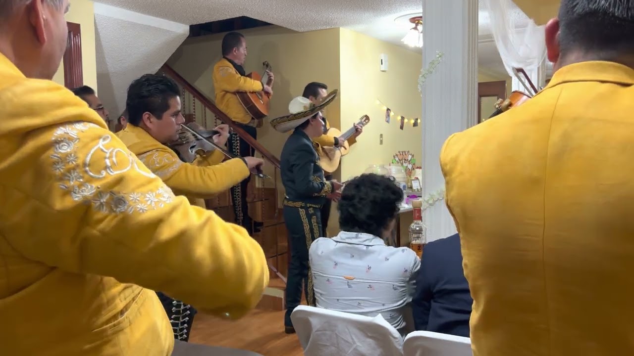 Contigo aprendi de Armando Manzanero - Version con mariachi