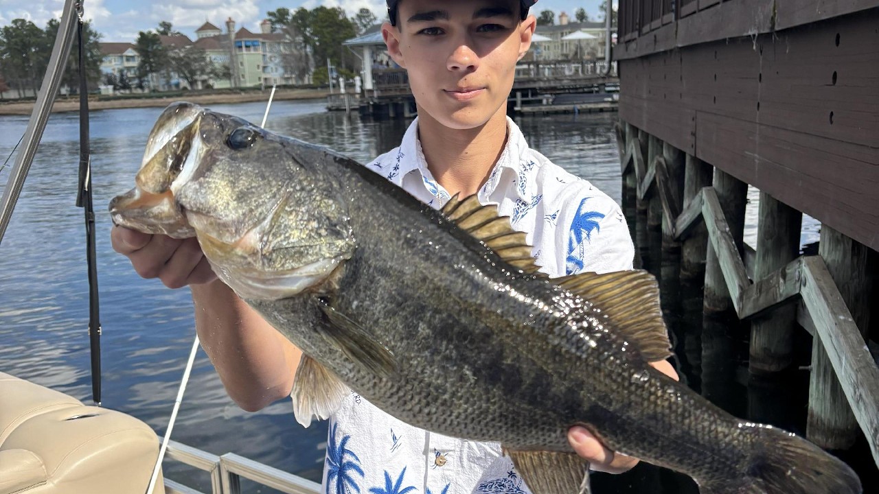 Giant Bass in Disney: 5 Pounder and two 4's