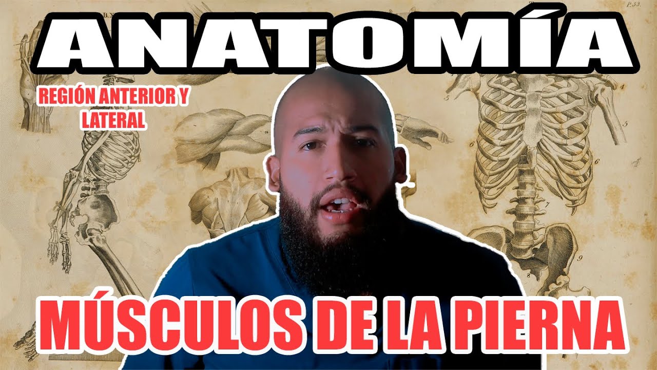 Anatomía - Músculos de la Región Anterior de la Pierna (Origen, Inserción, Relaciones, Acción)