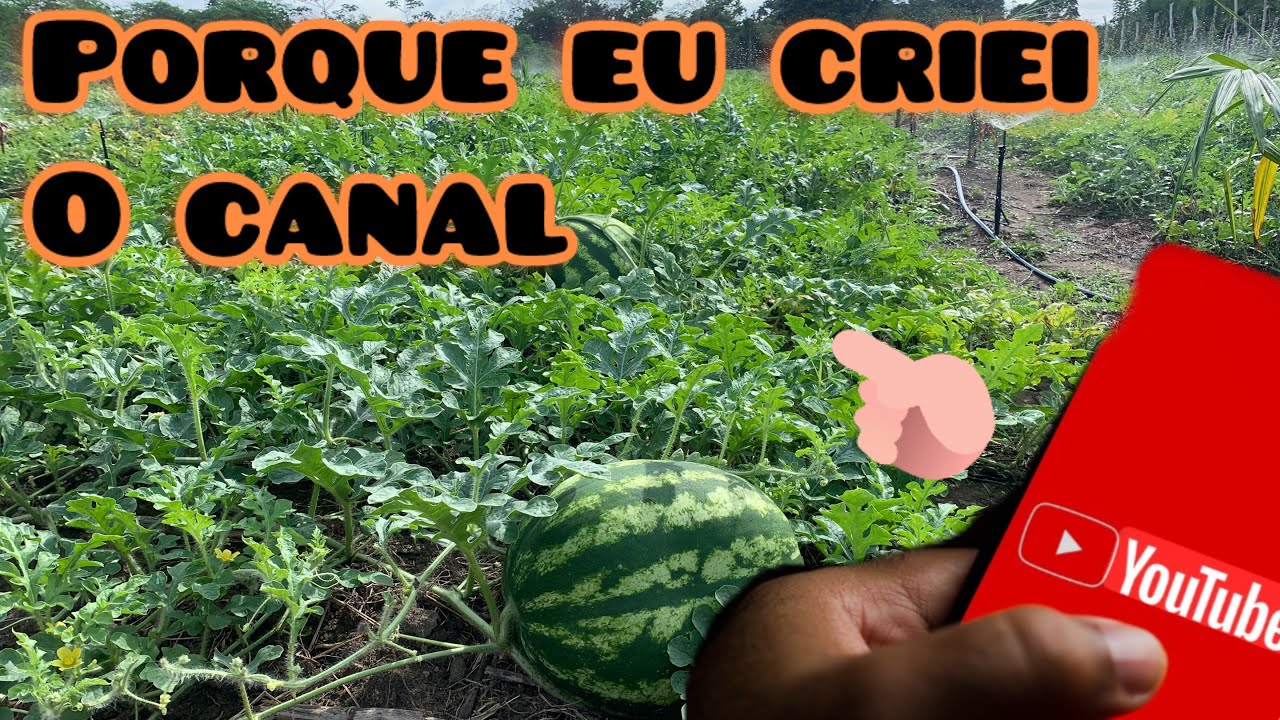 POR QUE EU DECIDI CRIAR MEU CANAL NO YOUTUBE? QUAL O VERDADEIRO MOTIVO POR TRÁS DO CANAL (melancia)￼