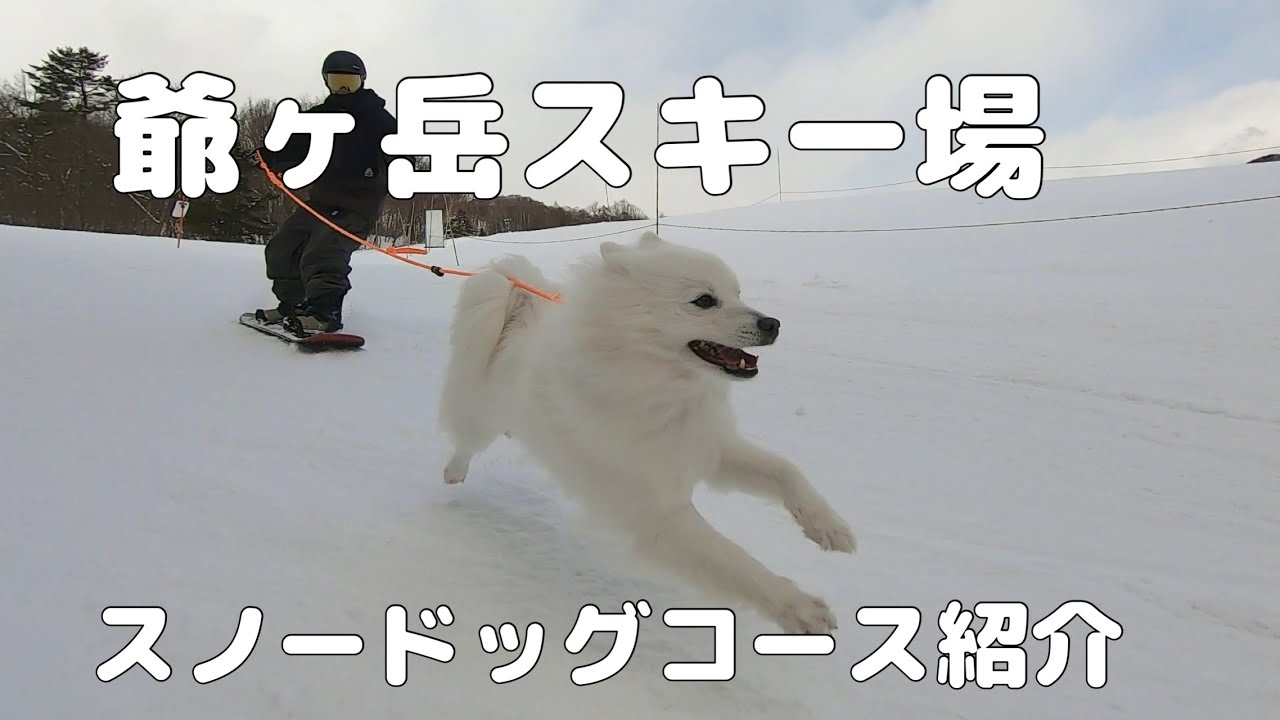 爺ヶ岳のスノードッグコース紹介