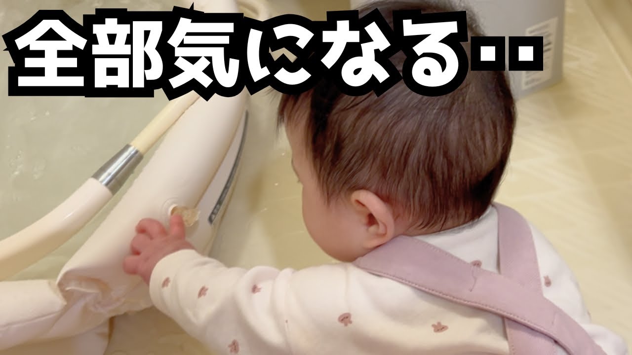 【生後８か月ベビー】全部気になる世界で暴れ尽くした結果…