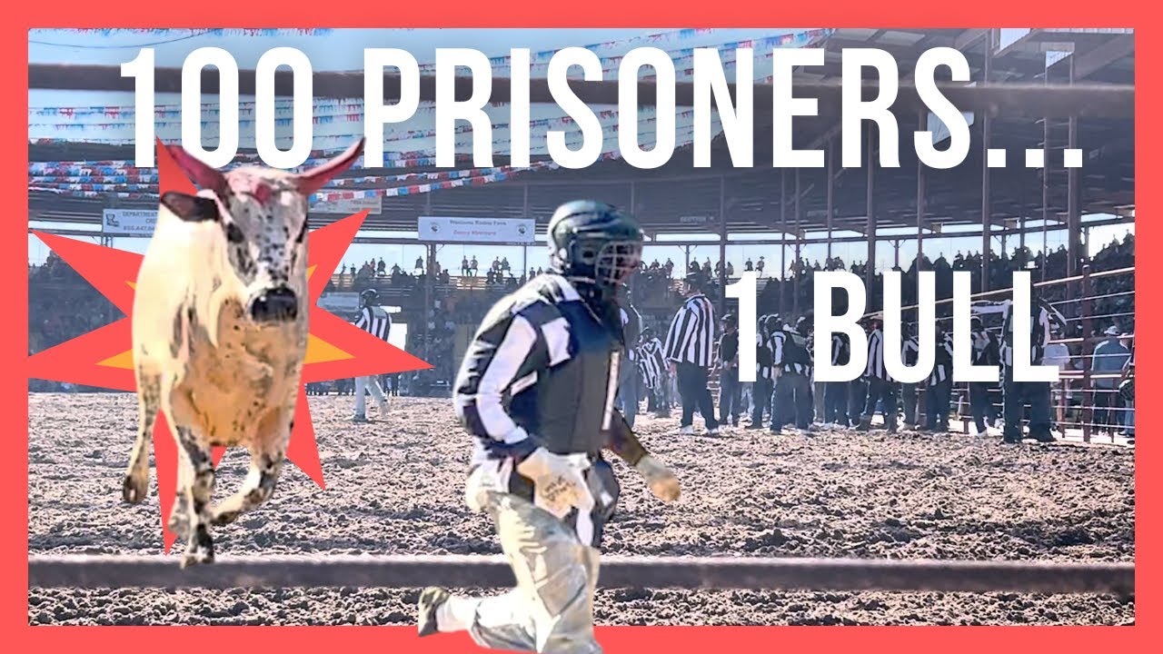 I Went to America's Most DANGEROUS Rodeo! 🇺🇸