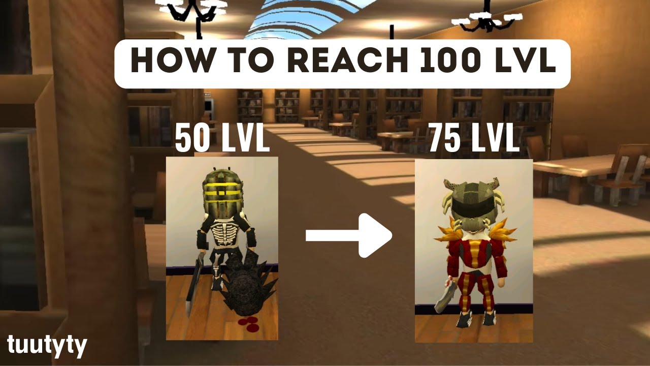 HOW TO REACH 100 LVL - Cord, nuts and rulers [LVL 50-75] School Of Chaos 2025