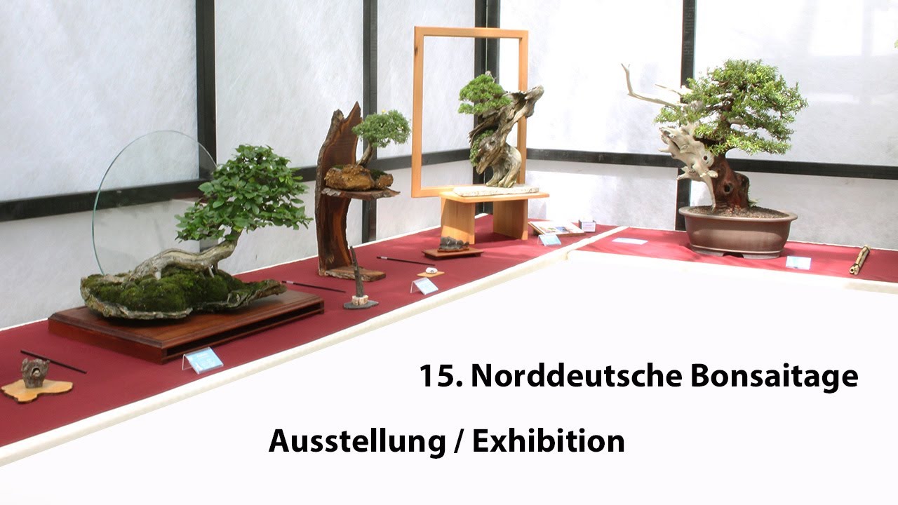 15. Norddeutschen Bonsaitage: BIN - Bonsai im Norden Ausstellung 2023