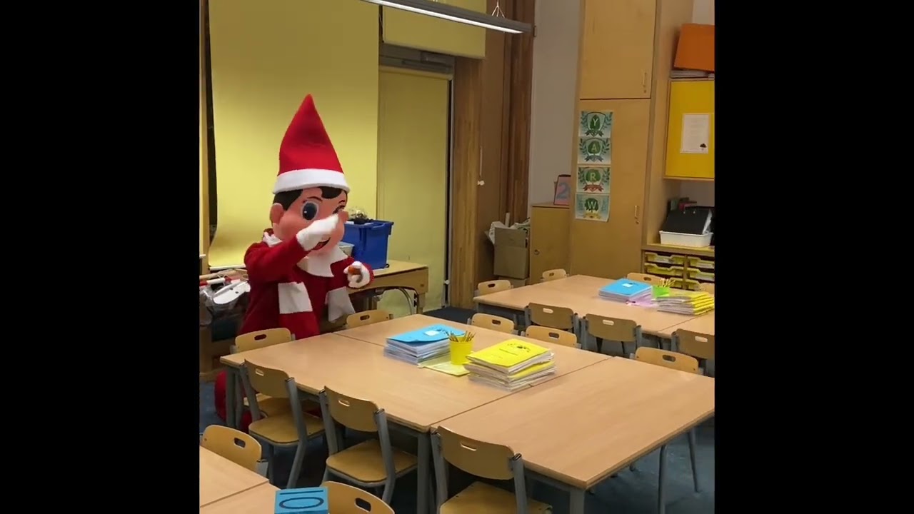 Oak Meadow Elf 7 12 22
