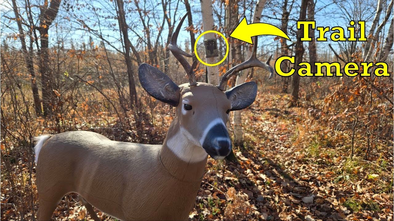 Leaving a Decoy in the Woods!