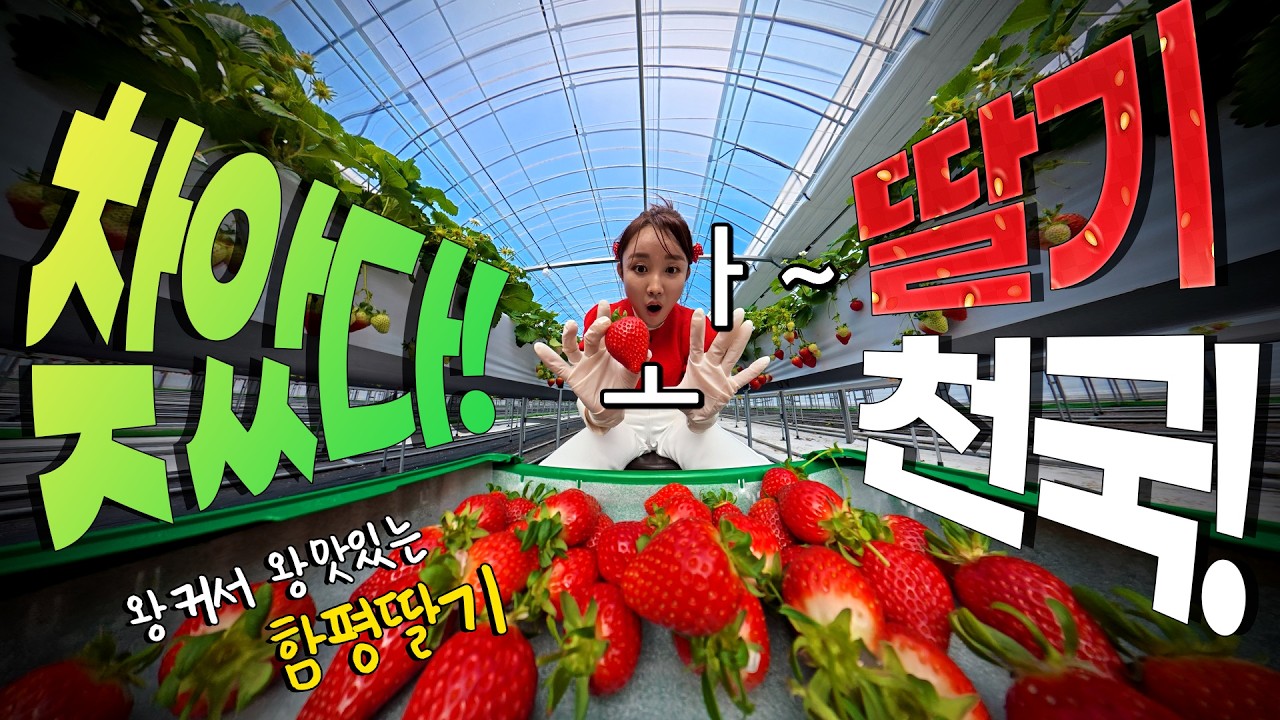 함! 놀아볼까!? 함평딸기