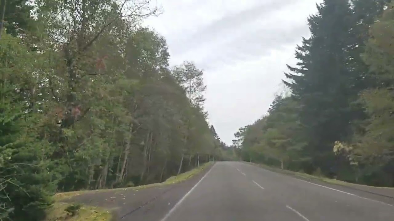 苫小牧市　郊外某所　2025/10/13 12:39頃