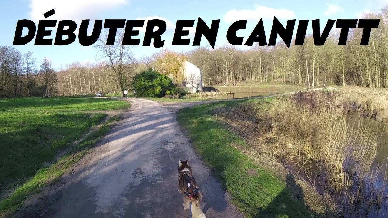 D&eacute;buter en CaniVTT,  quelques conseils, 1&egrave;re sortie avec Houka