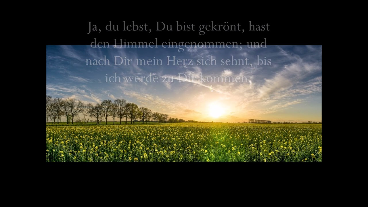 Jesus lebt! Er hat gesiegt