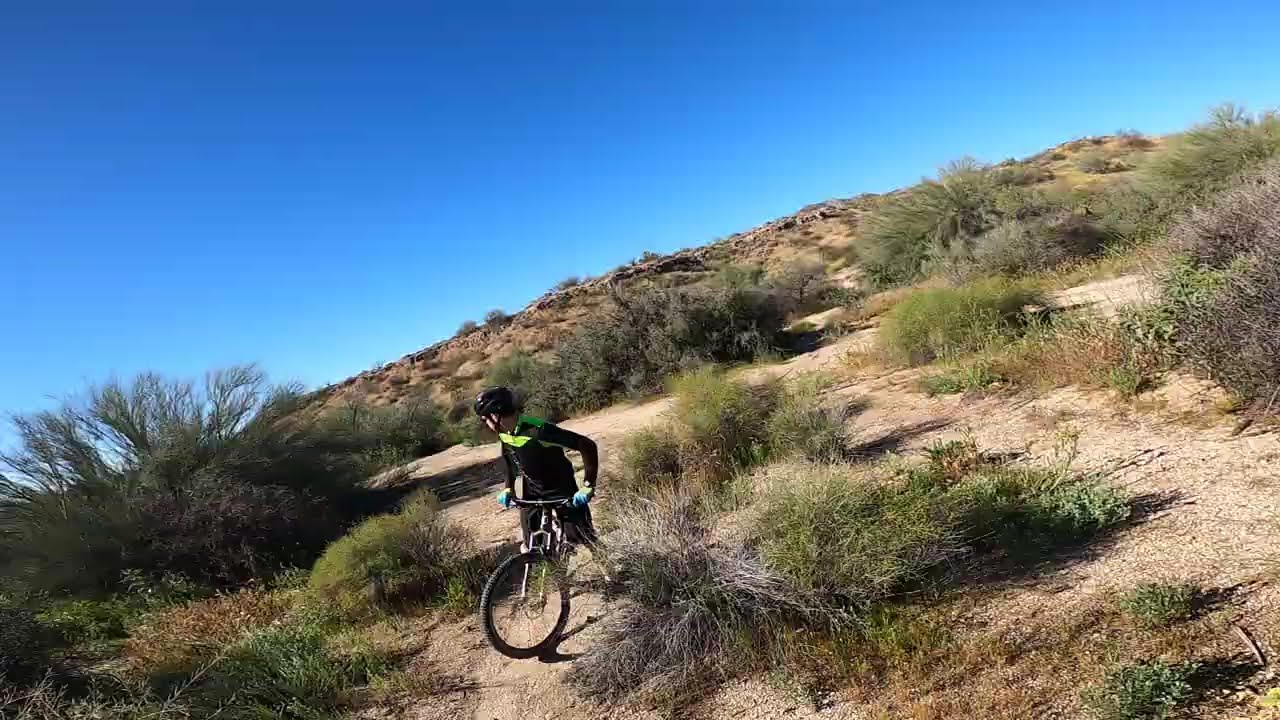 McDowell #3