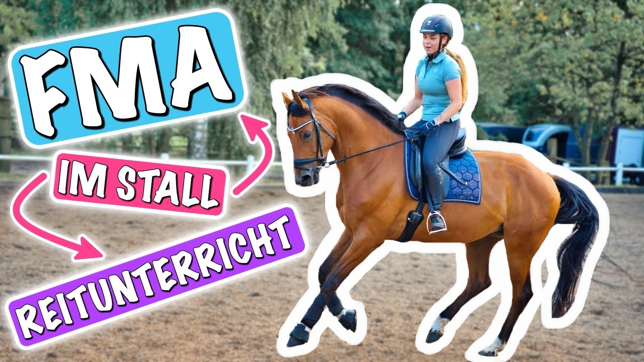 FMA - ich nehme euch mit in den STALL! 🐴 Mein Reitunterricht mit Dako! 🐎
