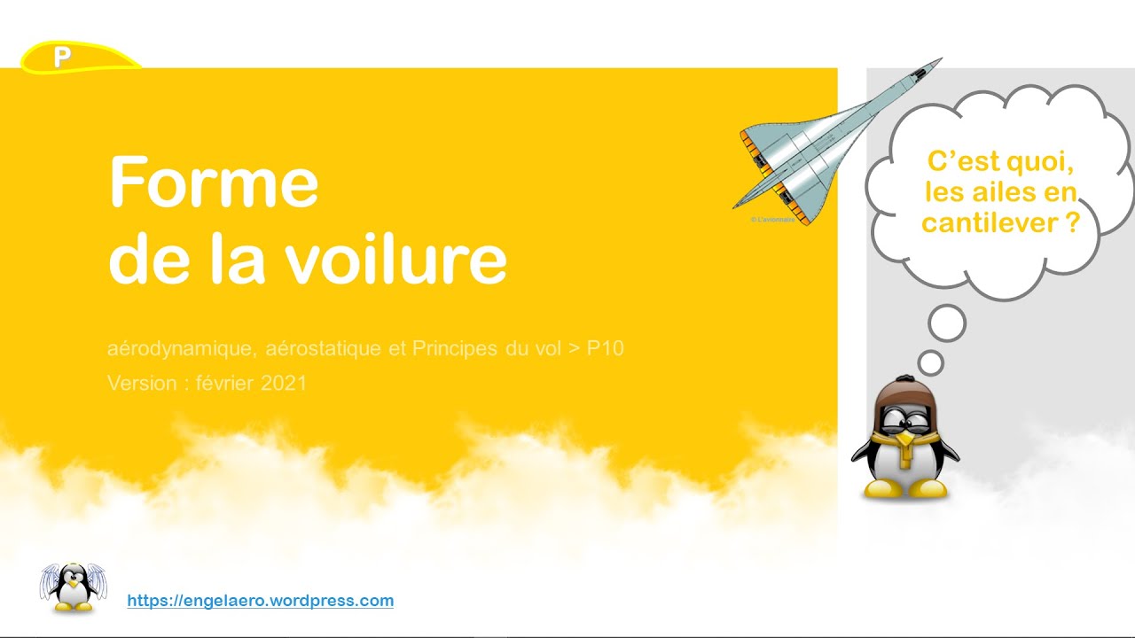 🛫Forme de la voilure (BIA, Principes du vol🎈10)