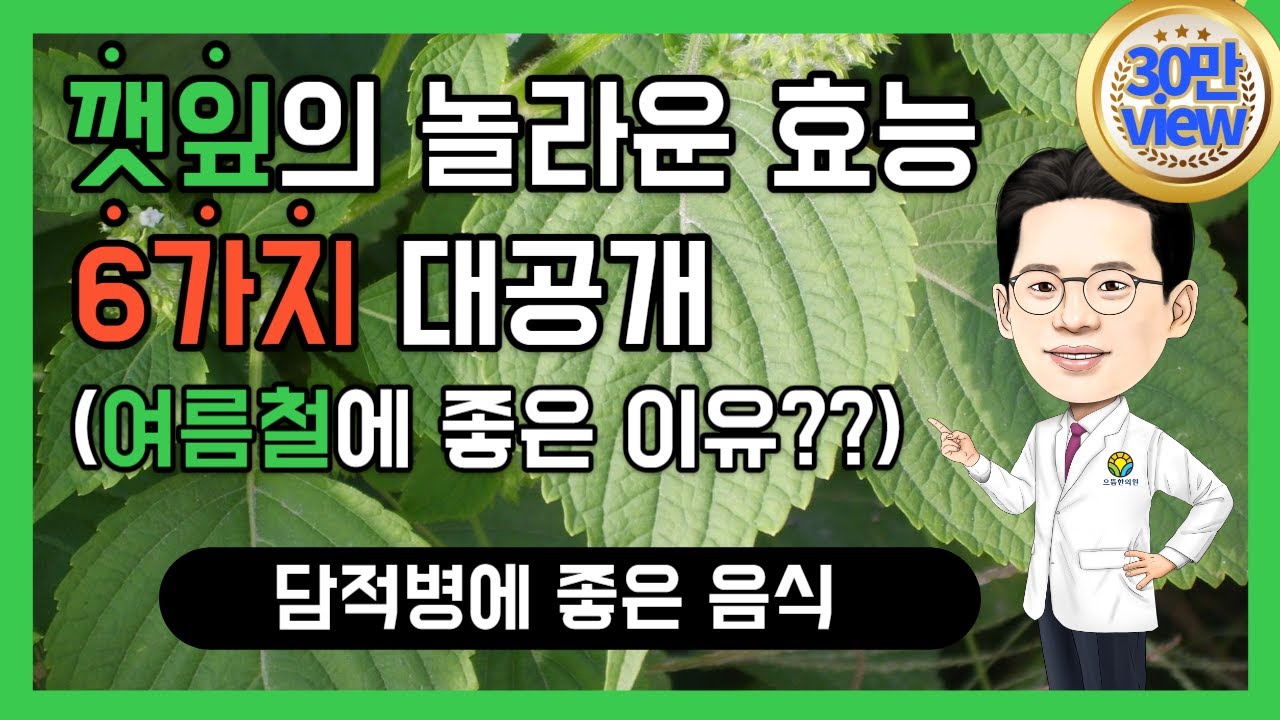 담적병에좋은음식 깻잎의 놀라운 효능 6가지 (담적보감㉟)