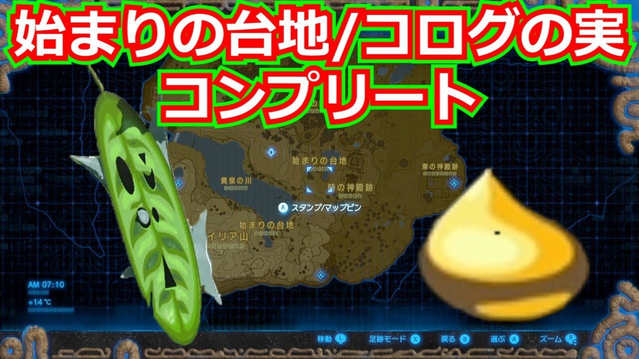 [ゼルダの伝説]始まりの台地のコログの実をコンプリートしてみた。