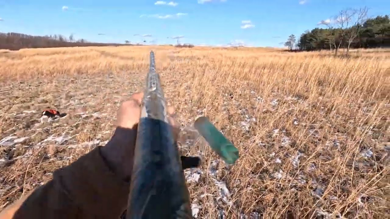 Pa Pheasant Hunting December 2023