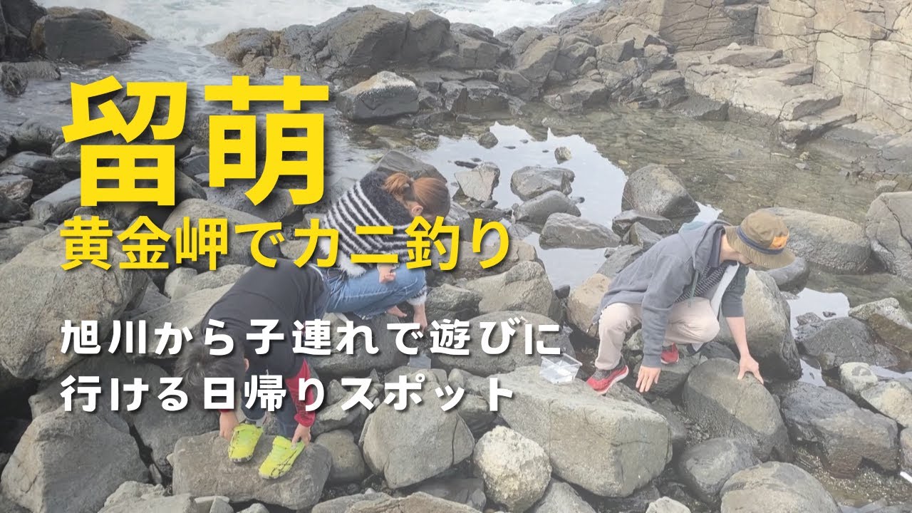 黄金岬で初めてのカニ釣り#旭川 #留萌 #カニ釣り #黄金岬