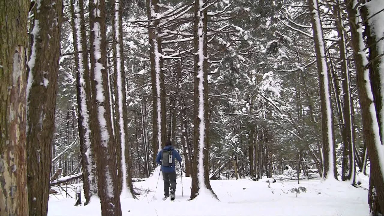 Cet hiver, on skie Hok ! (Le ski-raquette)
