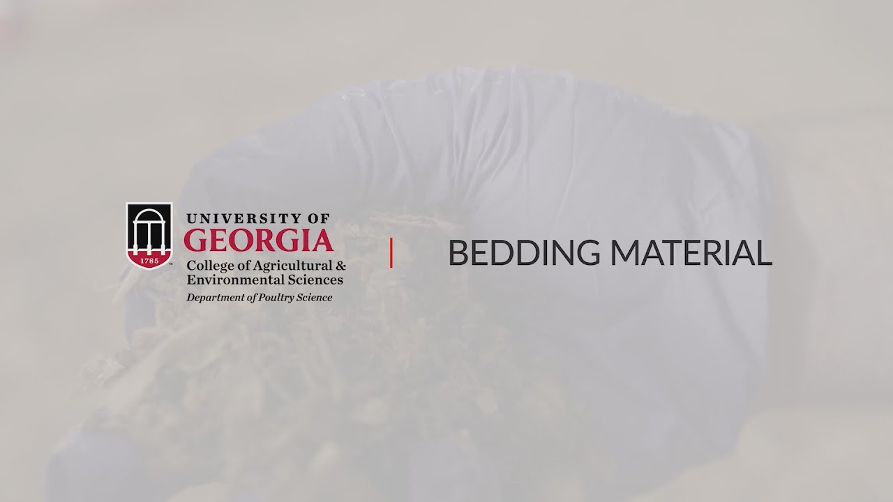 Intro to Modern Broiler Production. (5) Bedding Materials