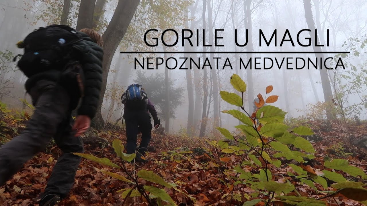 GORILE U MAGLI - nepoznata Medvednica - vrhovi Oštrec i Pečovje