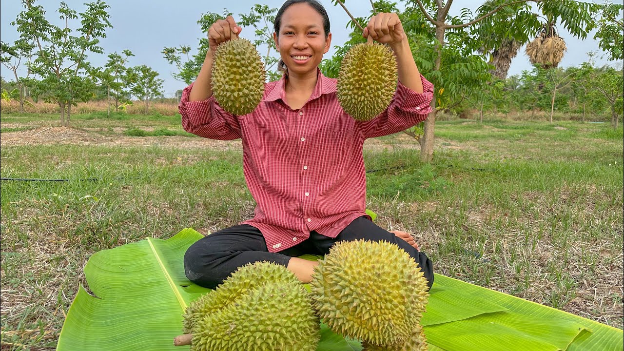 មកពុកម៉ែបងប្អូនហូបទុរេនជាមួយខ្ញុំ ឆម ស្រីផាច - Chhom Sreypach