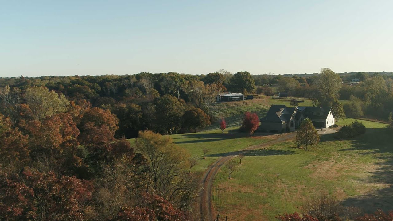 Joy Meadows Story