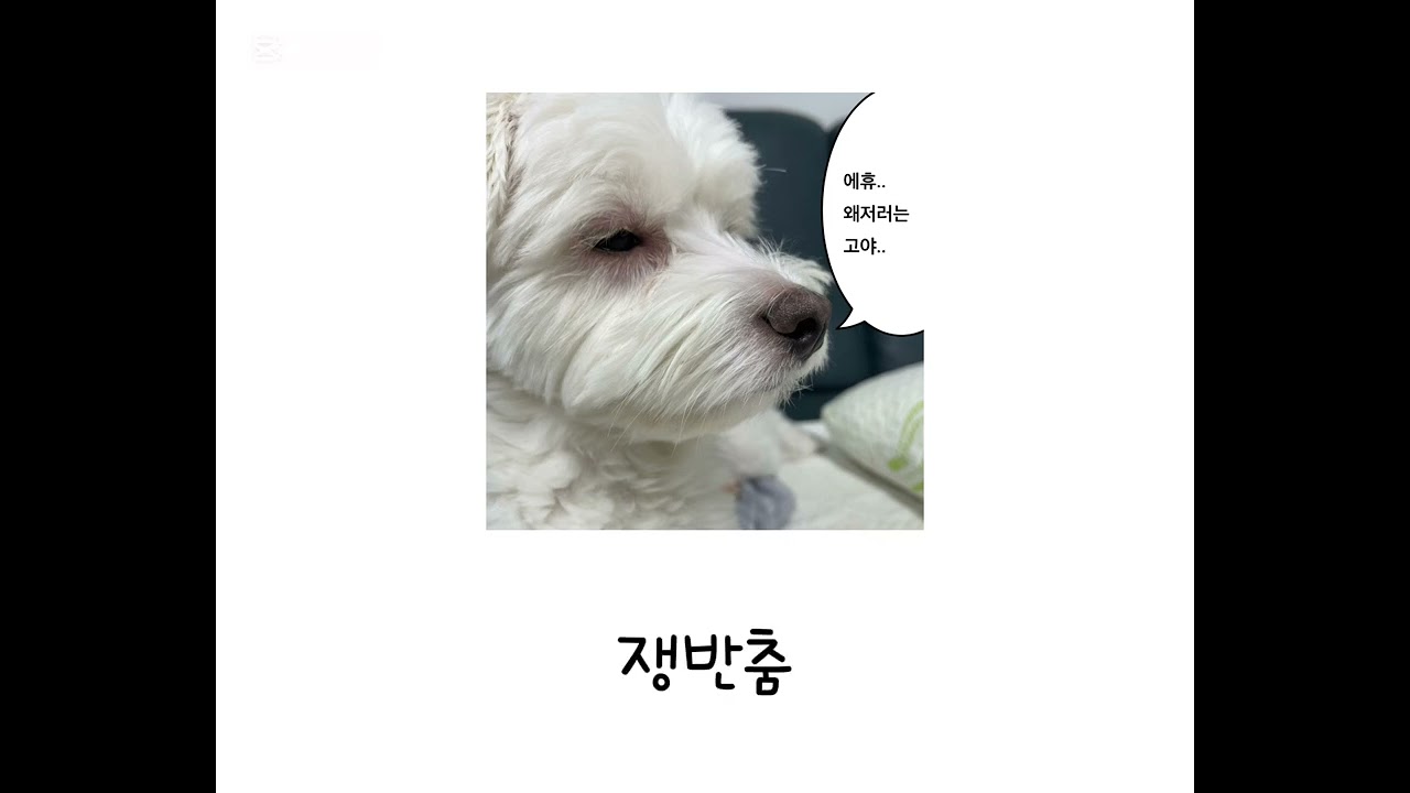 반에서 하기 좋은 랜덤 플레이 댄스❄️